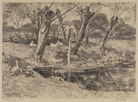 KG 16906
<br/>
'Wilgenplas no.5'
<br/>
<em>Koning, Edzard (1869-1954)</em>